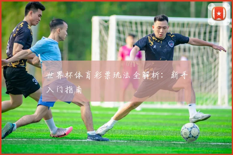 世界杯体育彩票玩法全解析：新手入门指南