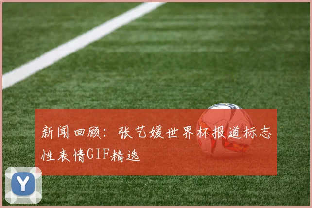 新闻回顾：张艺媛世界杯报道标志性表情GIF精选