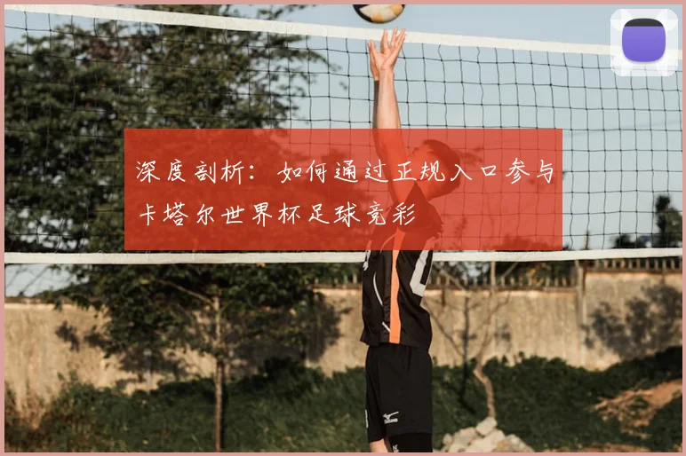 深度剖析:如何通过正规入口参与卡塔尔世界杯足球竞彩