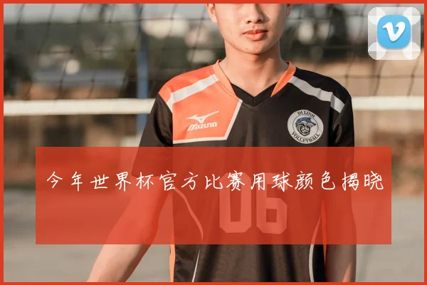 今年世界杯官方比赛用球颜色揭晓