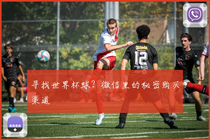 寻找世界杯球？微信里的秘密购买渠道