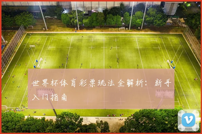 世界杯体育彩票玩法全解析：新手入门指南