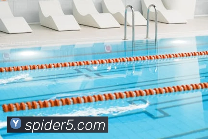 欧宝ob官方网站平台生态图